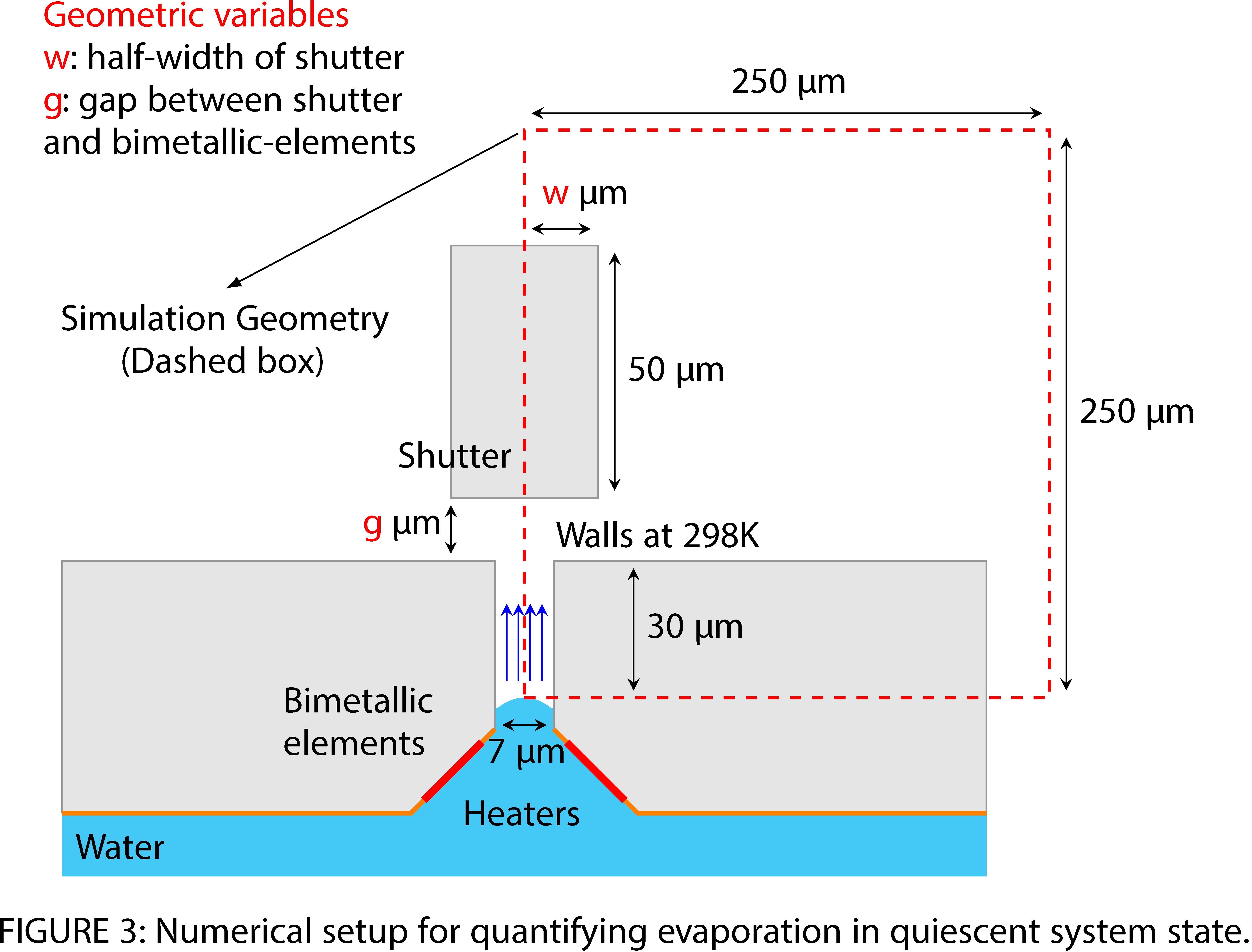 FEMTA schematic